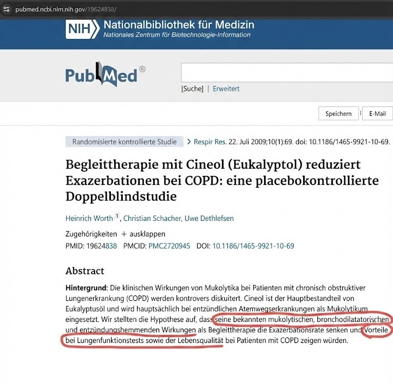 Studie Cineol Wirkung