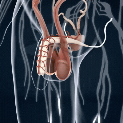 Woman with hair loss