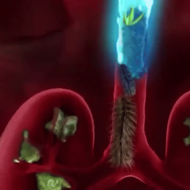 Respiratory Therapist