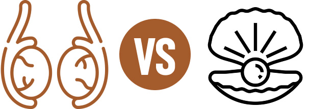 Beef Testicles vs Oyster comparison