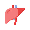 Beef Liver icon