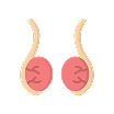 Beef Testicles icon