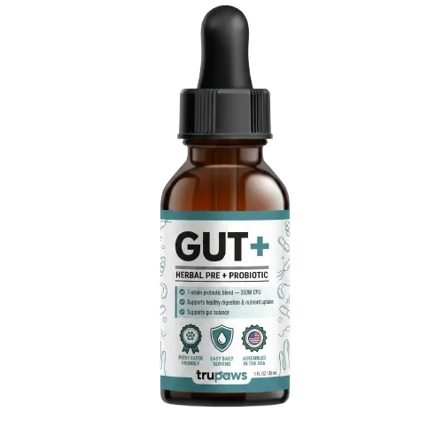 GUT+