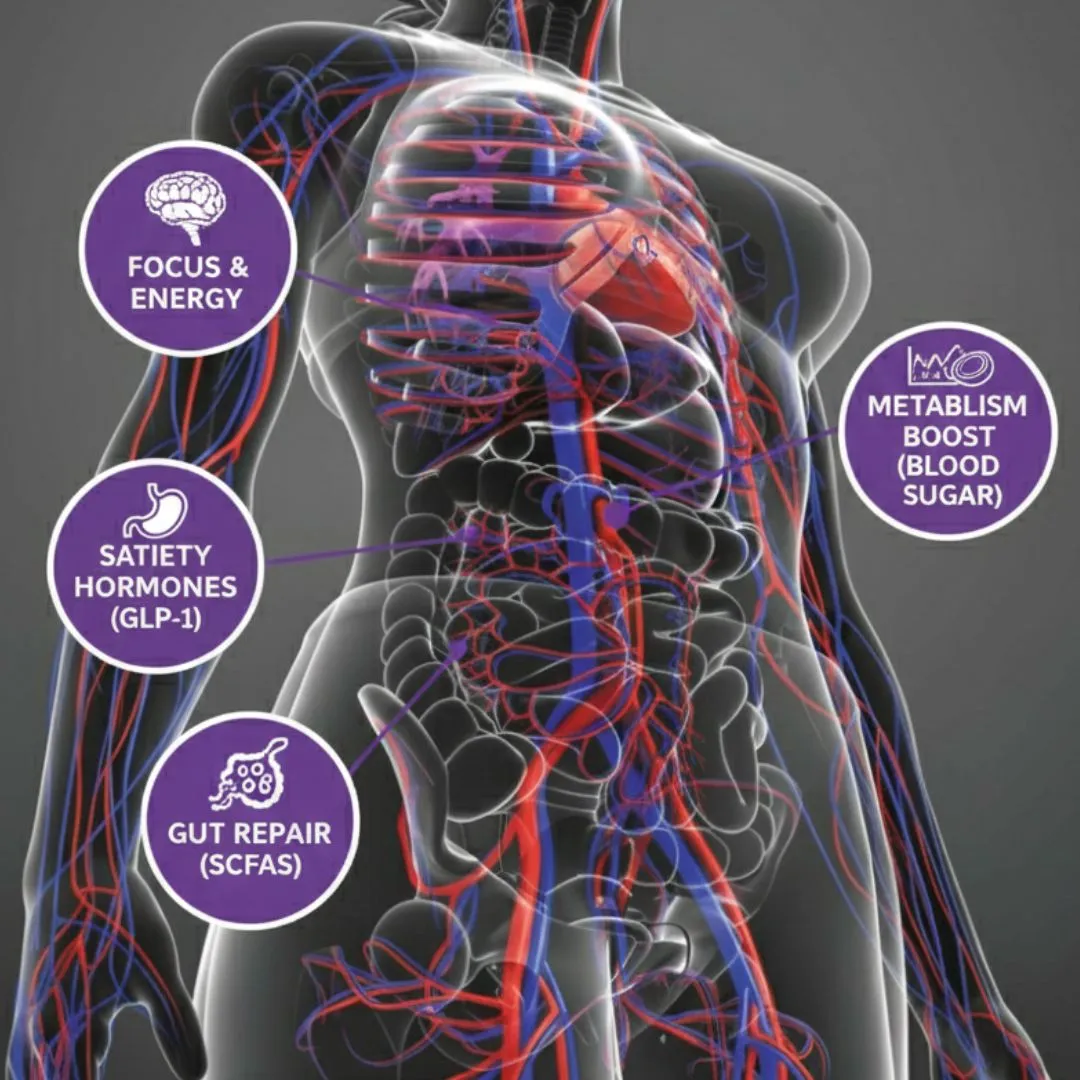 Illustration of blood cells in a vessel and broken chocolate pieces on a patterned wrapper.