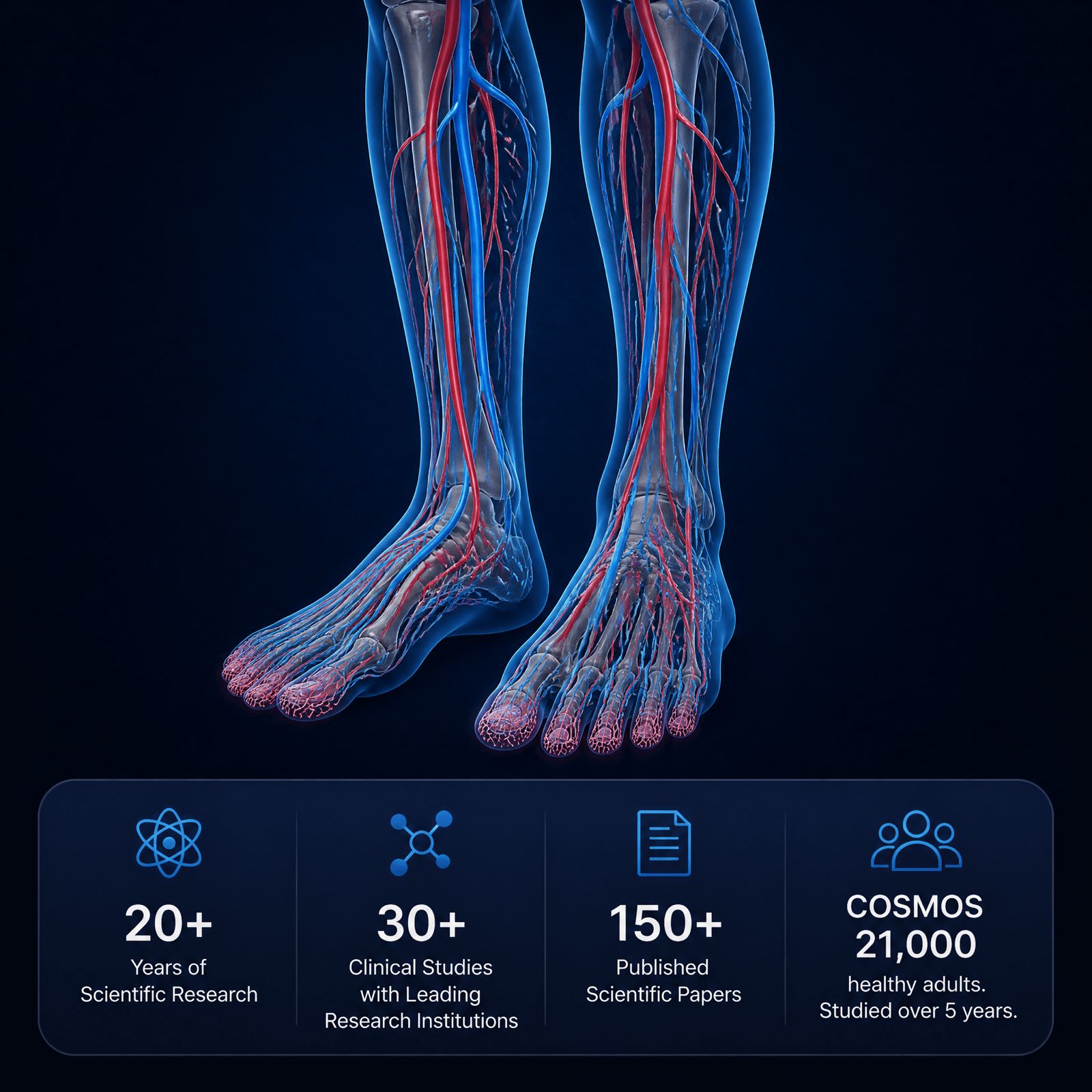 Illustration of human circulatory system with research statistics overlay.