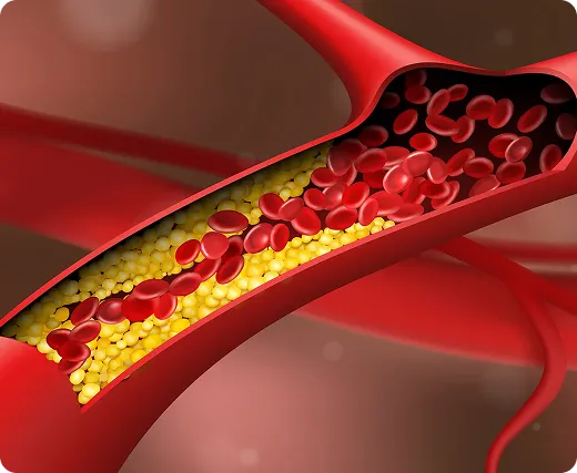 Science mechanism collage: blood pressure monitor, artery cross-section, cacao powder, epicatechin molecules