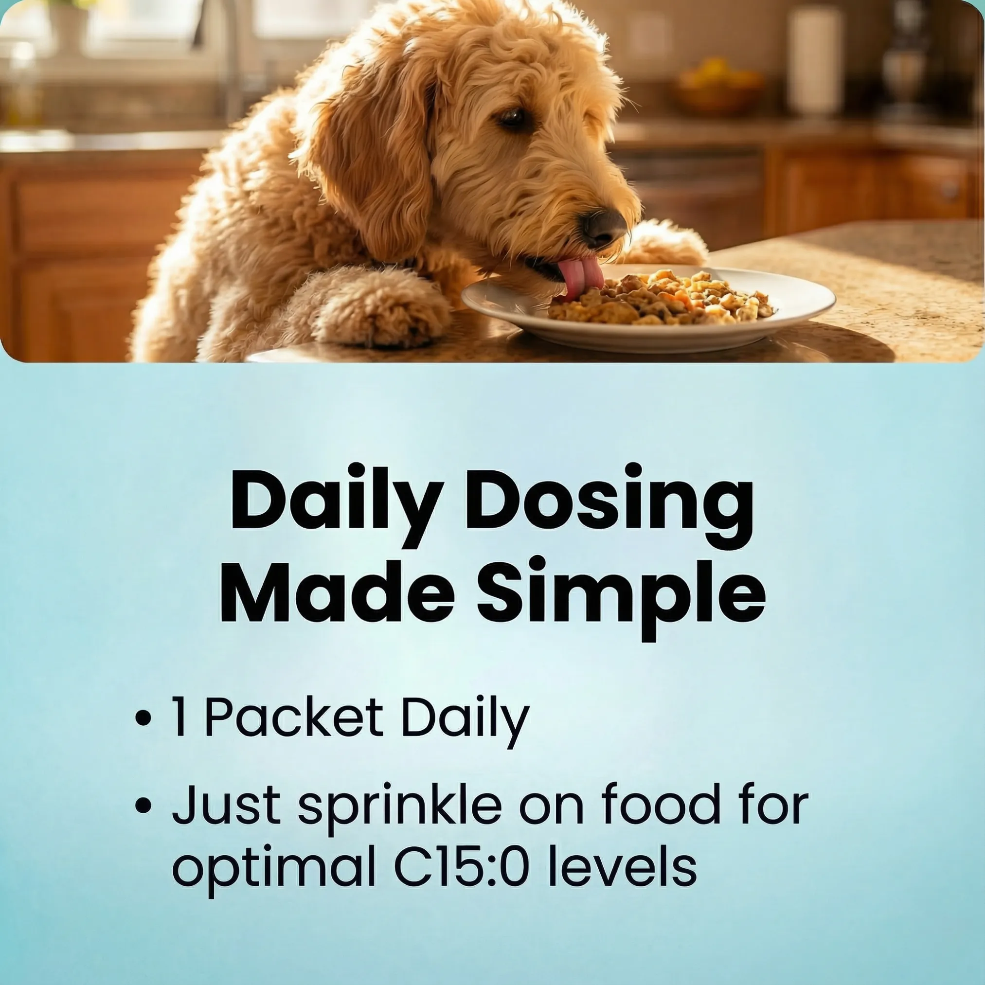 Probiotic Dog Chews | Natural Dog Supplements