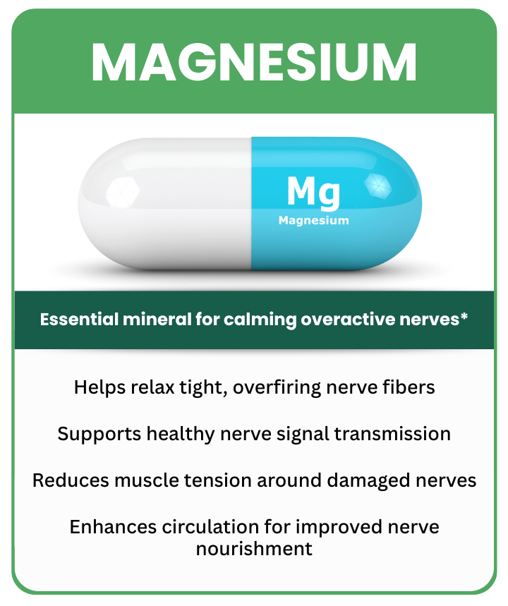 Magnésium