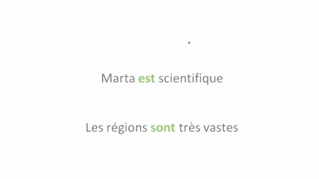 Grammar lesson breaking down a French sentence word by word with English translations