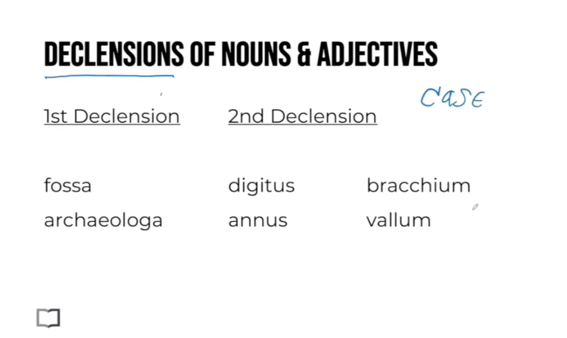 Grammar lesson showing 1st and 2nd declensions of Latin nouns and adjectives, with examples like fossa, archaeologa, annus and vallum