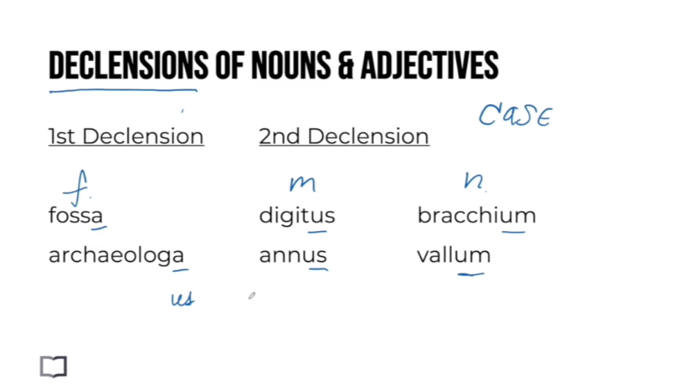 Grammar lesson breaking down a Latin sentence word by word, showing how noun endings shift with case