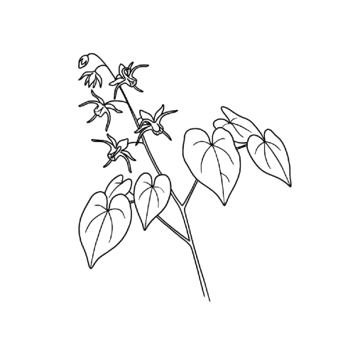 select-image