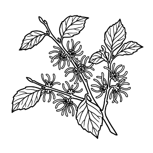 select-image