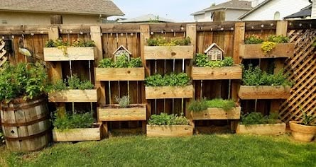 Vertical Garden